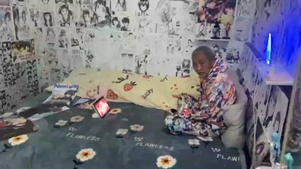 二次元老登