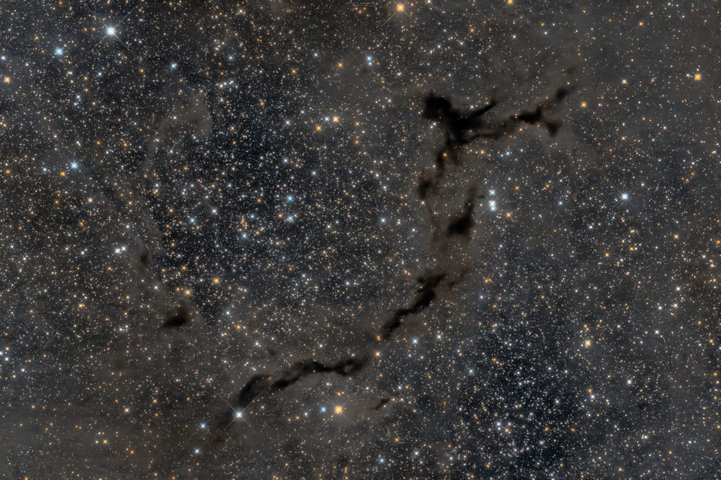 The Dark Seahorse of Cepheus The Dark Seahorse of Cepheus