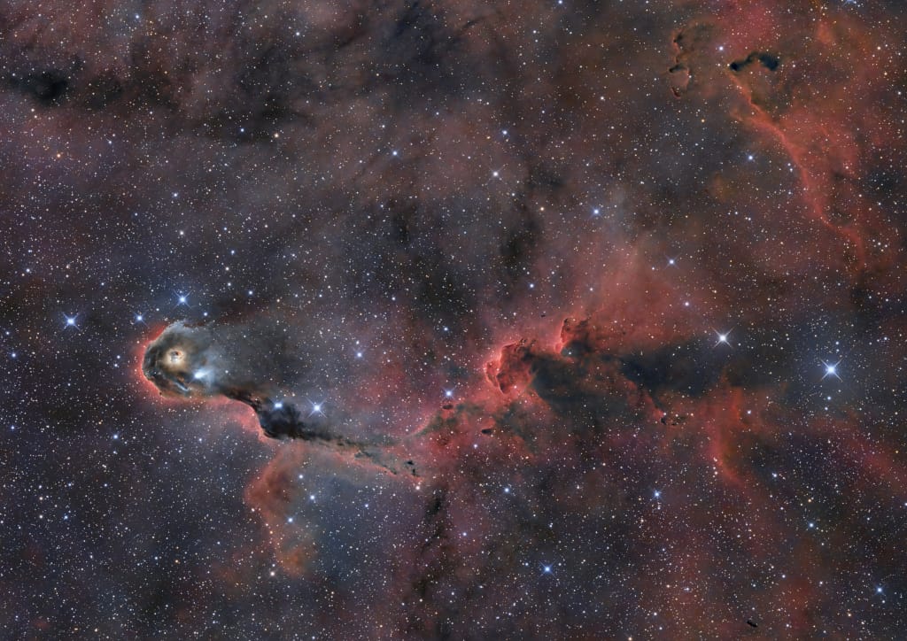 The Elephant s Trunk in Cepheus The Elephant s Trunk in Cepheus