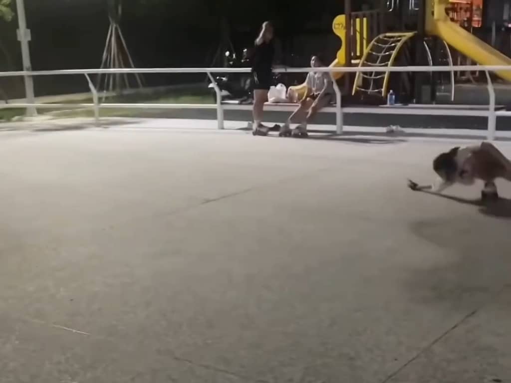 卧龙凤雏爆笑场面