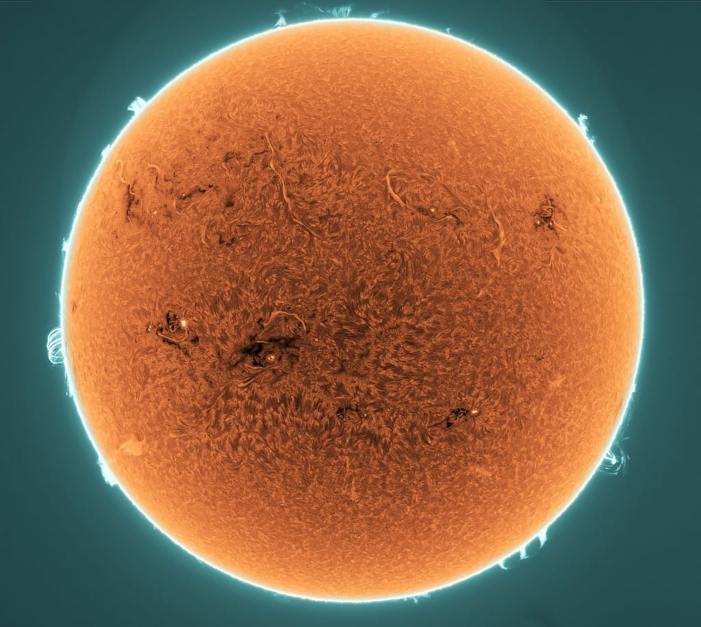 Prominences and Filaments on the Active Sun Prominences and Filaments on the Active Sun