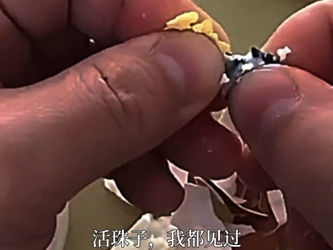 这是什么情况