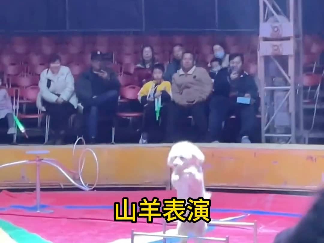 【远途传媒无人机表演】最新视频来袭，快来看看吧！