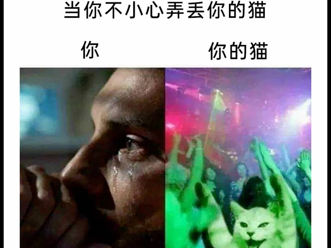 “键盘 你可要遭老罪喽”（meme73）