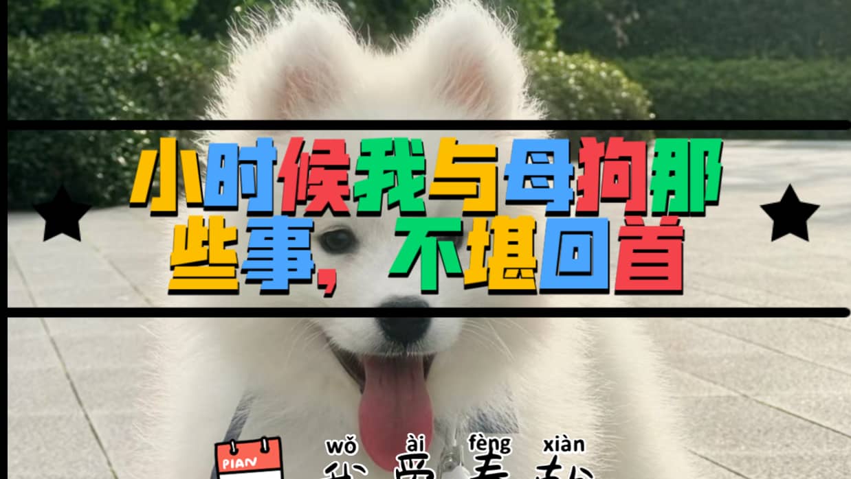 小时候我与母狗那些事，不堪回首