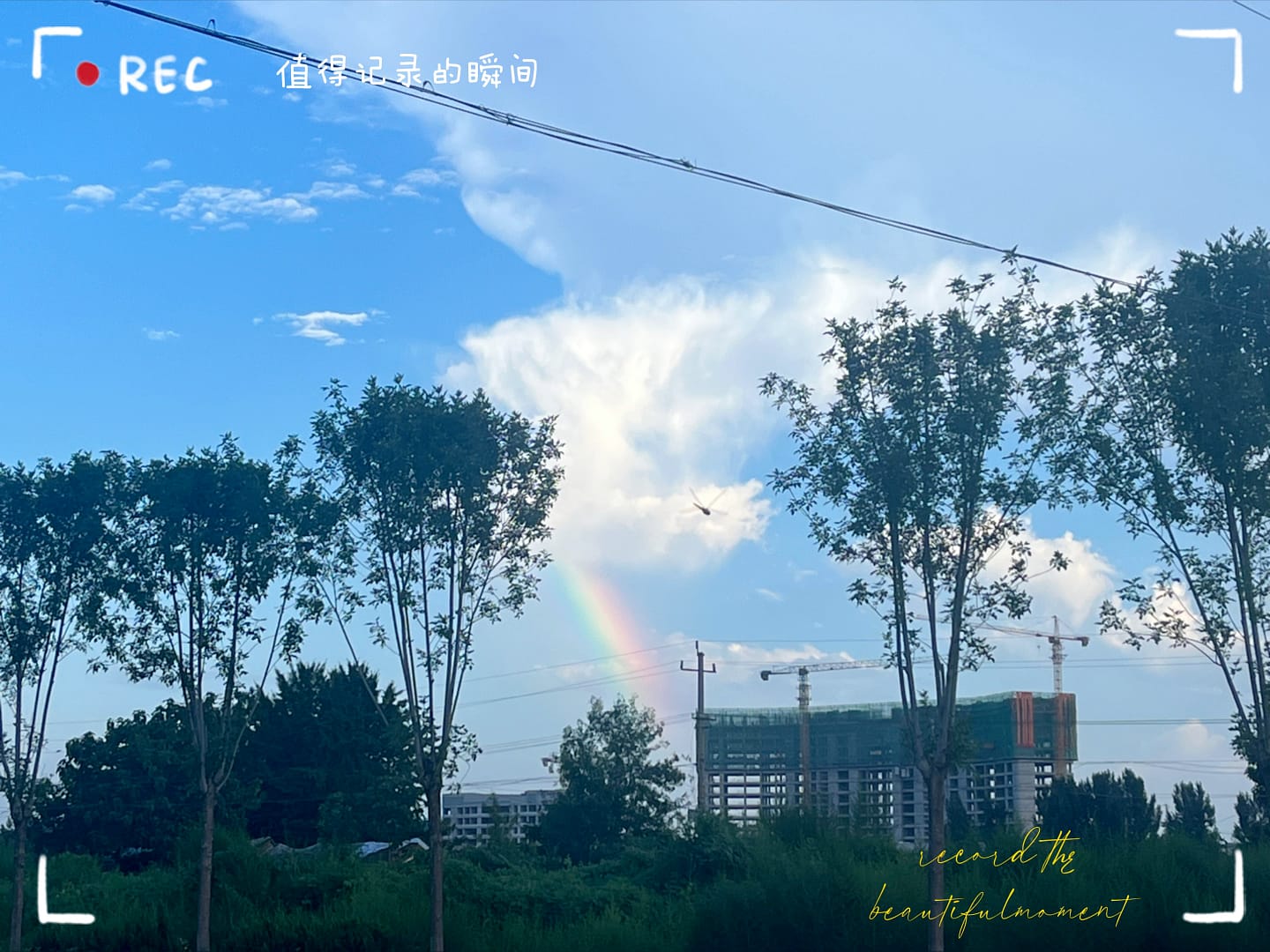 【小杨不想牙疼】最新视频来袭，快来看看吧！