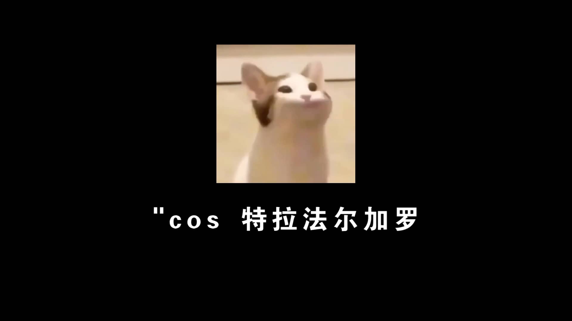 基德：哈哈哈哈哈哈哈哈哈哈哈哈哈哈哈哈哈哈哈哈哈哈哈哈！