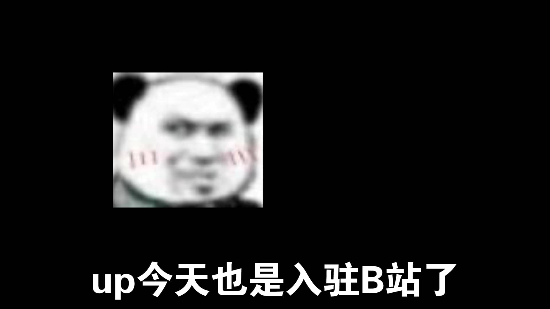 新人up入驻了！！！！！