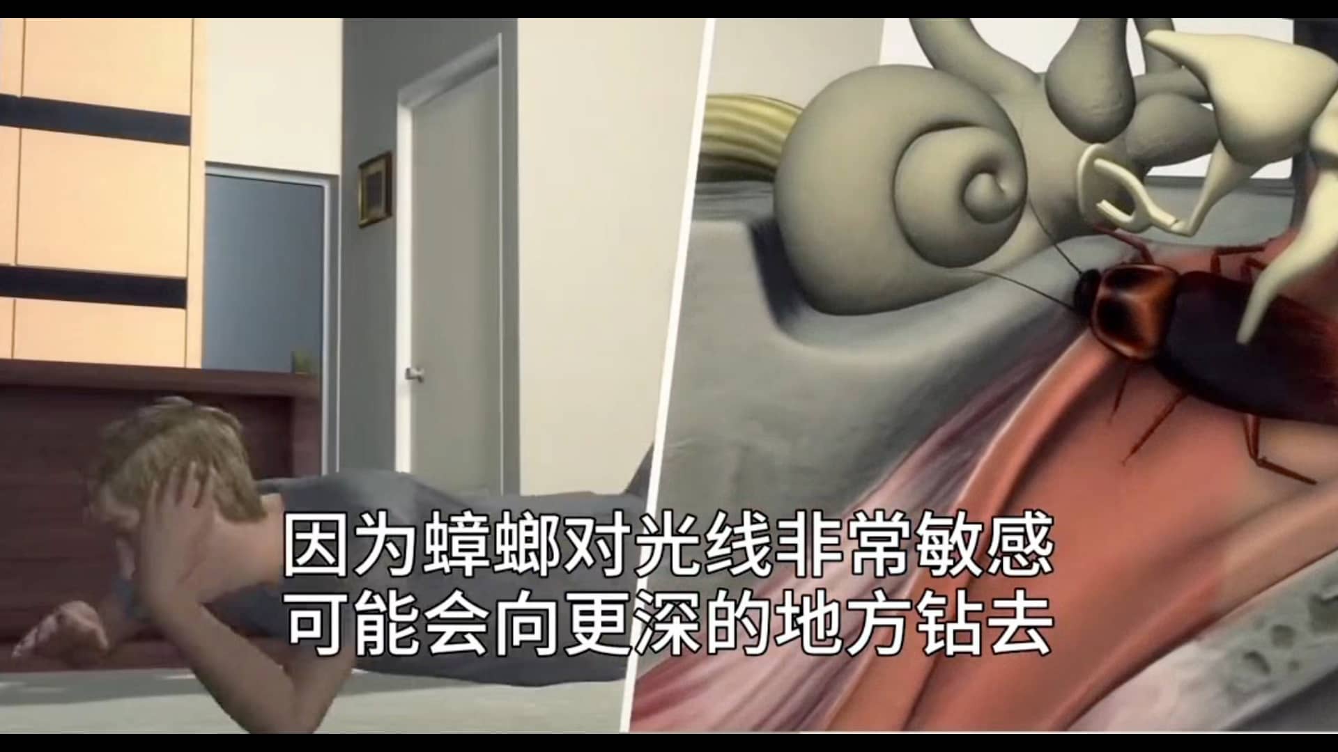 蟑螂真的杀不死吗？