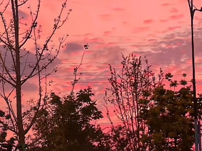 落日下的夕阳