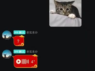 《狸花猫也是机器人》