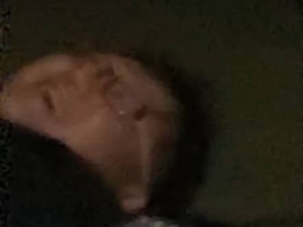 论两个shot的流量
