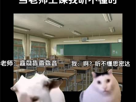 当老师上课我听不懂时我的反应