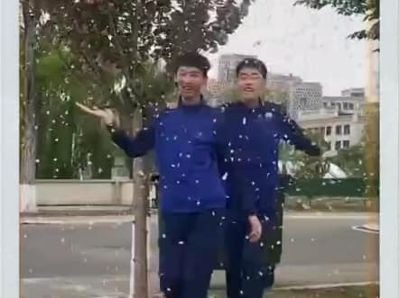 很难评。。。