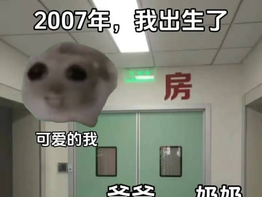 2007年，我出生了……
