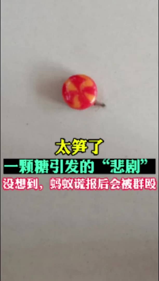 【搞笑的三拳】最新视频已上线，快来围观！