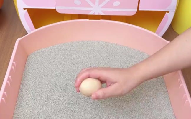 家里有个主子，是谁我不说