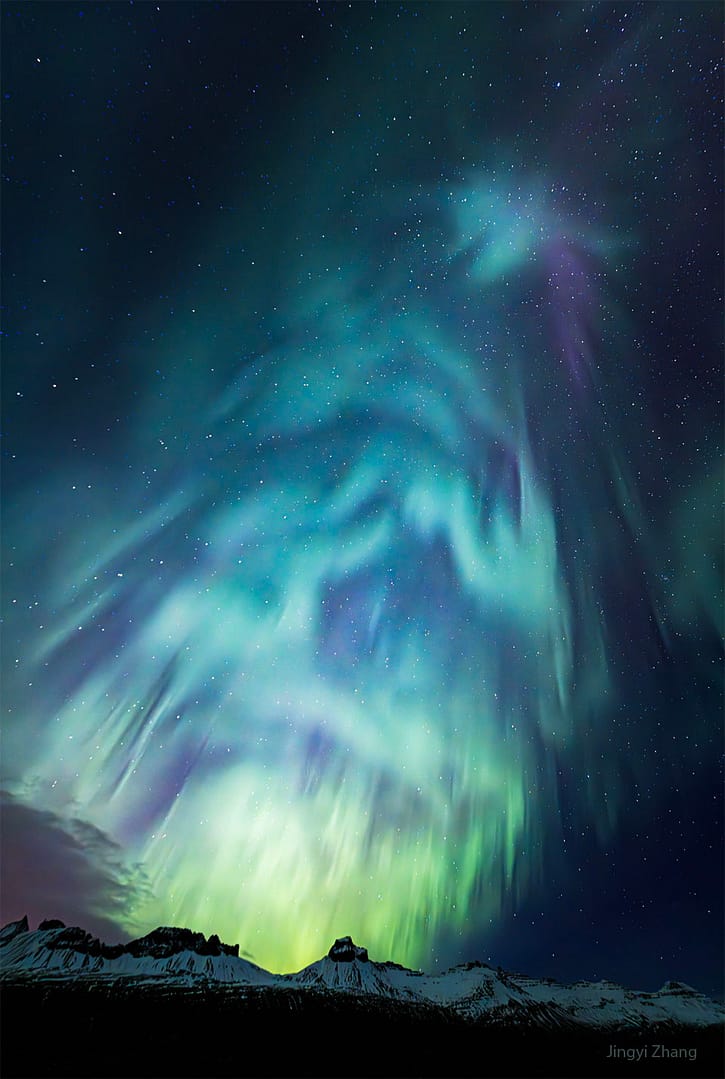 Christmas Tree Aurora Christmas Tree Aurora