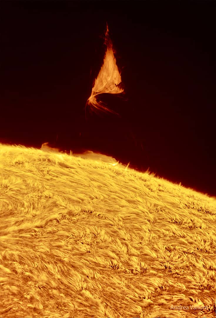 A Triangular Prominence Hovers Over the Sun A Triangular Prominence Hovers Over the Sun