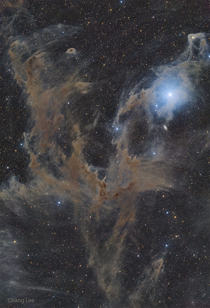 Chamaeleon Dark Nebulas Chamaeleon Dark Nebulas