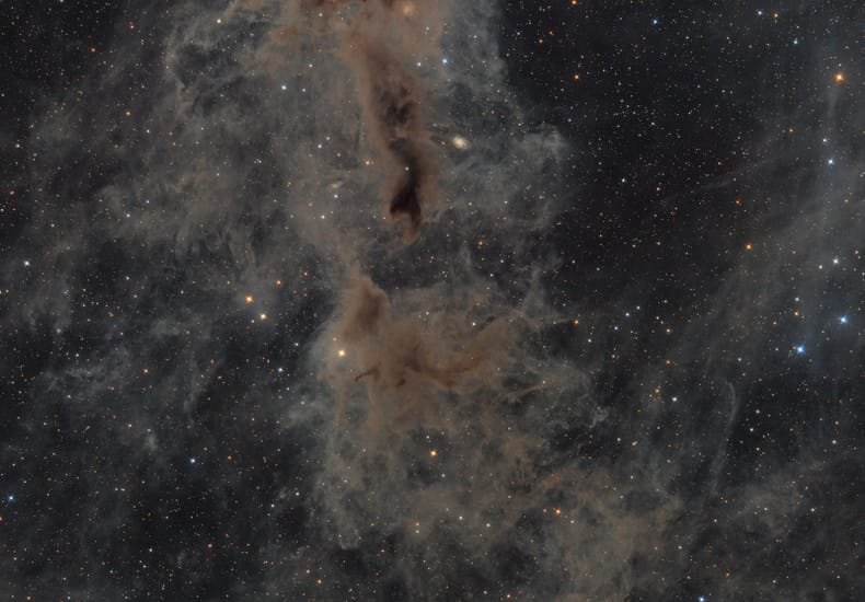 Lynds Dark Nebula 1251 Lynds Dark Nebula 1251