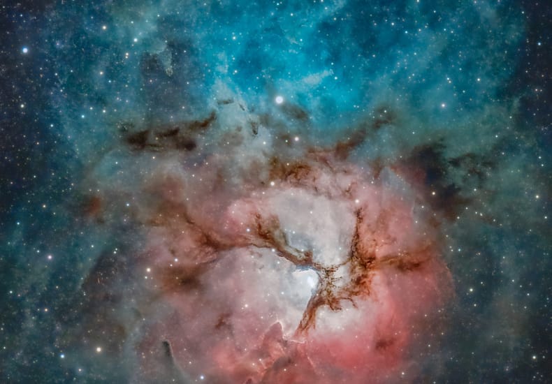 A Beautiful Trifid