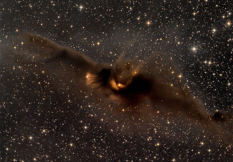 LDN 43: The Cosmic Bat Nebula LDN 43: The Cosmic Bat Nebula