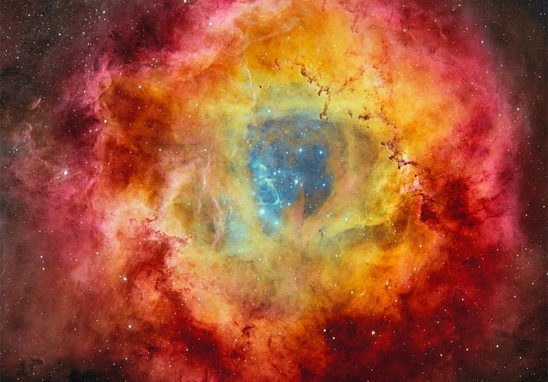 The Rosette Nebula from DECam The Rosette Nebula from DECam