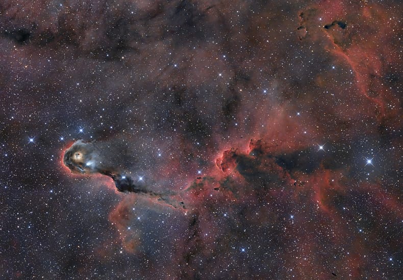 The Elephant s Trunk in Cepheus The Elephant s Trunk in Cepheus