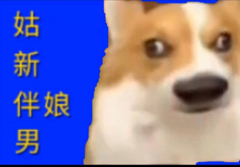 押 韵 真 好 玩 2.0