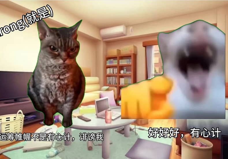 一点神经质日常