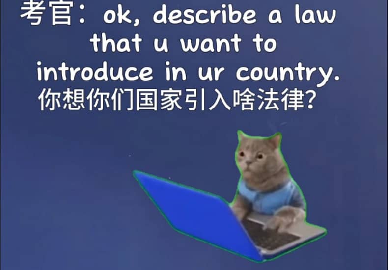 雅思口语遇上猫meme，直接让考官红温