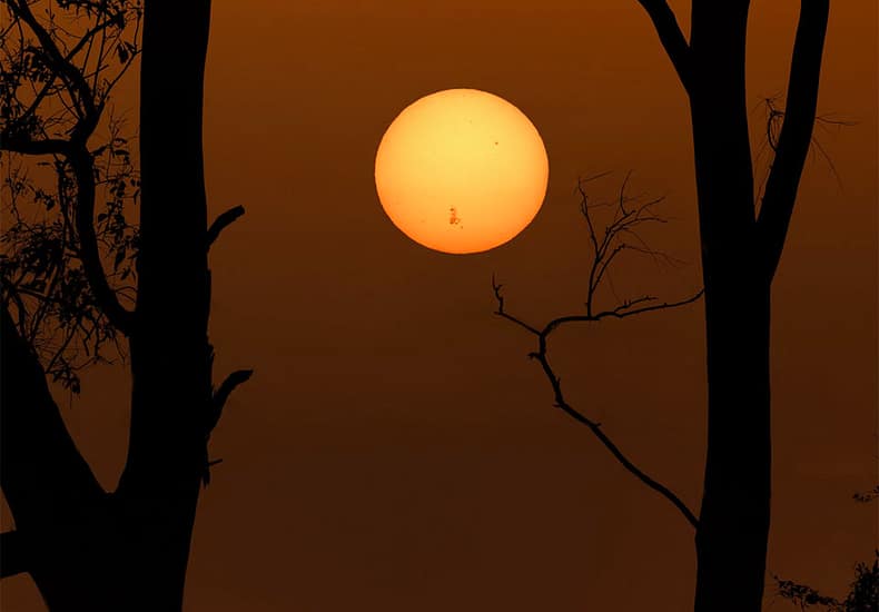 AR 3664 on a Setting Sun AR 3664 on a Setting Sun