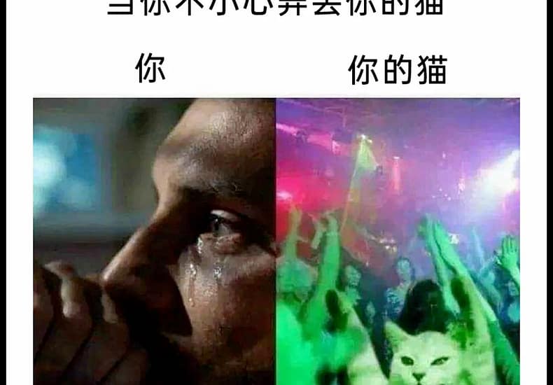 “键盘 你可要遭老罪喽”（meme73）