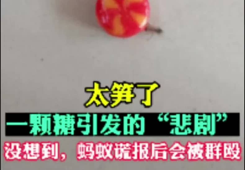 【搞笑的三拳】最新视频已上线，快来围观！