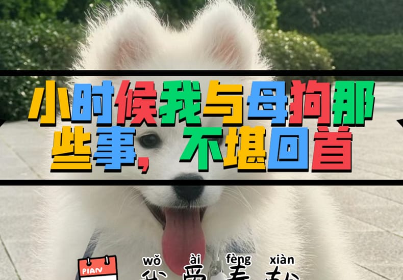 小时候我与母狗那些事,不堪回首 小时候我与母狗那些事,不堪回首