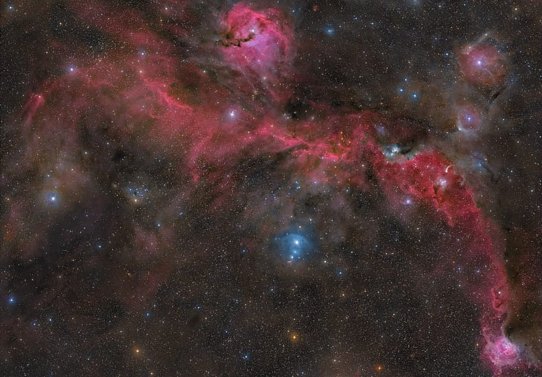 The Seagull Nebula The Seagull Nebula