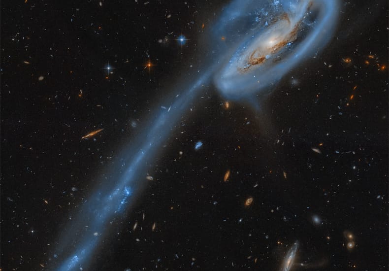 The Tadpole Galaxy from Hubble The Tadpole Galaxy from Hubble