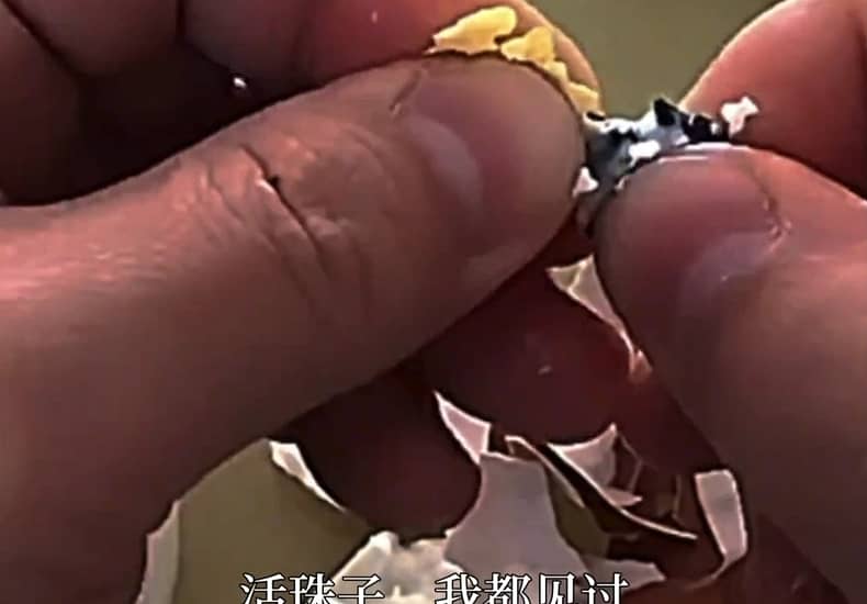 这是什么情况