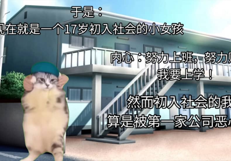 【猫meme】十七找工作的我
