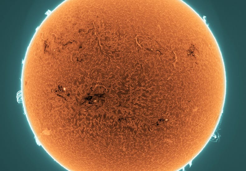 Prominences and Filaments on the Active Sun