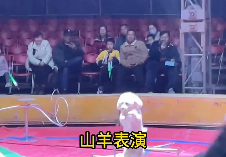 【远途传媒无人机表演】最新视频来袭，快来看看吧！
