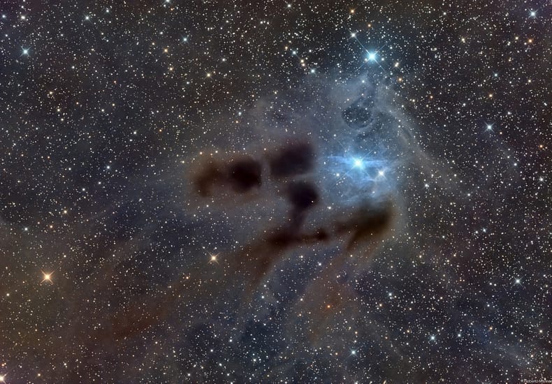Reflections on VdB 31