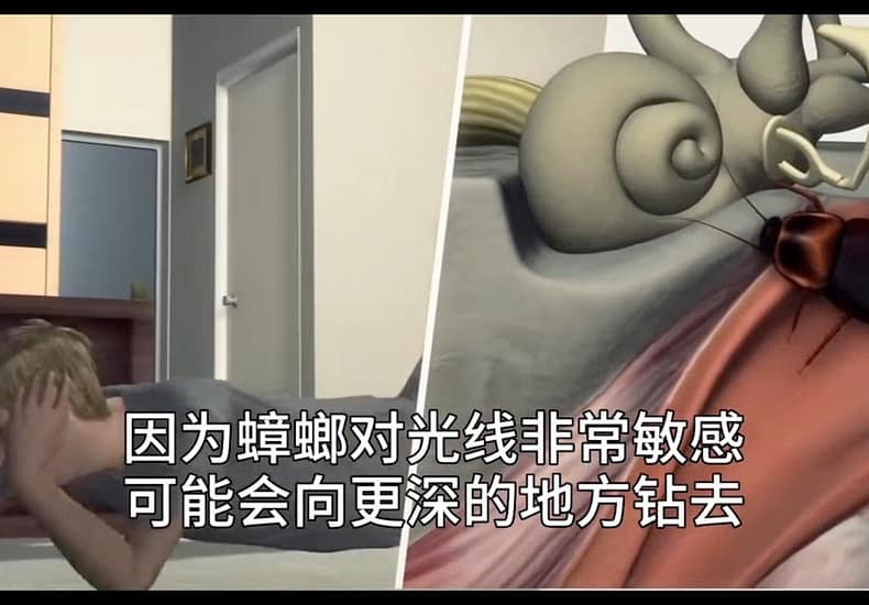 蟑螂真的杀不死吗？