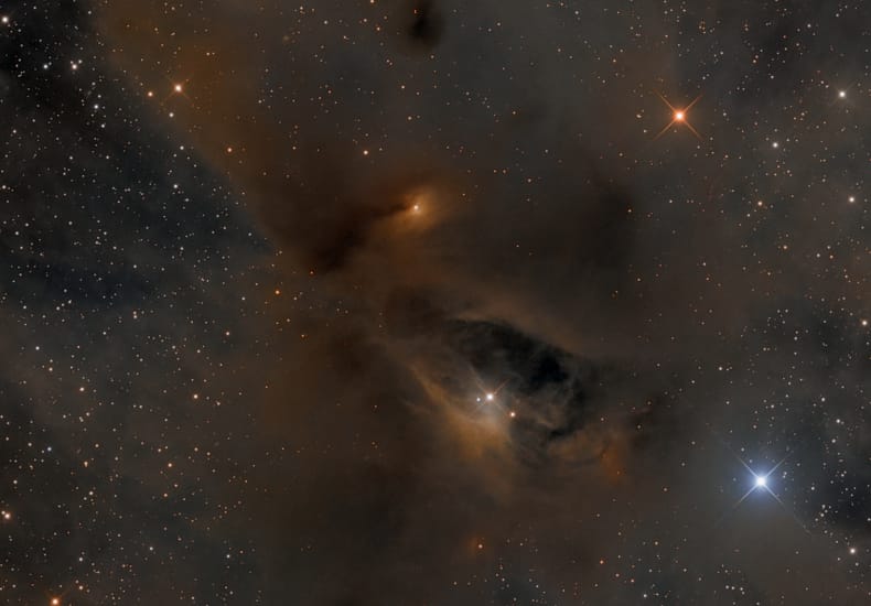 Young Stars, Dark Nebulae
