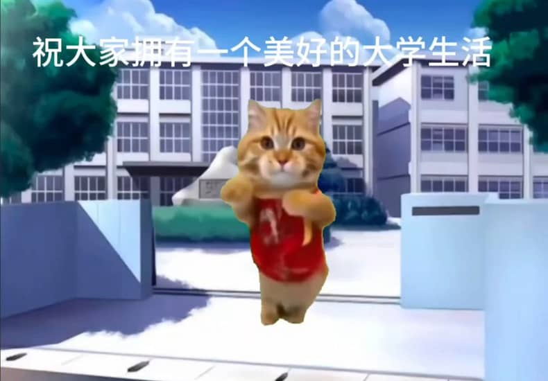 开学了家人们
