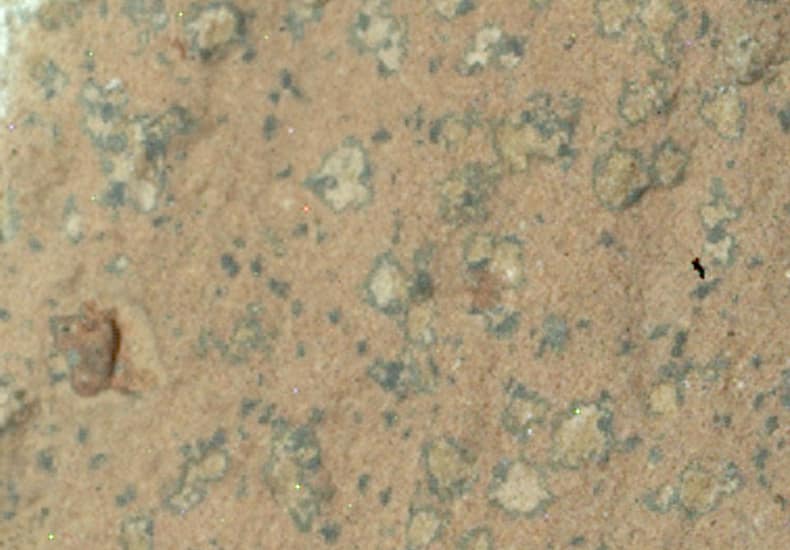 Leopard Spots on Martian Rocks Leopard Spots on Martian Rocks