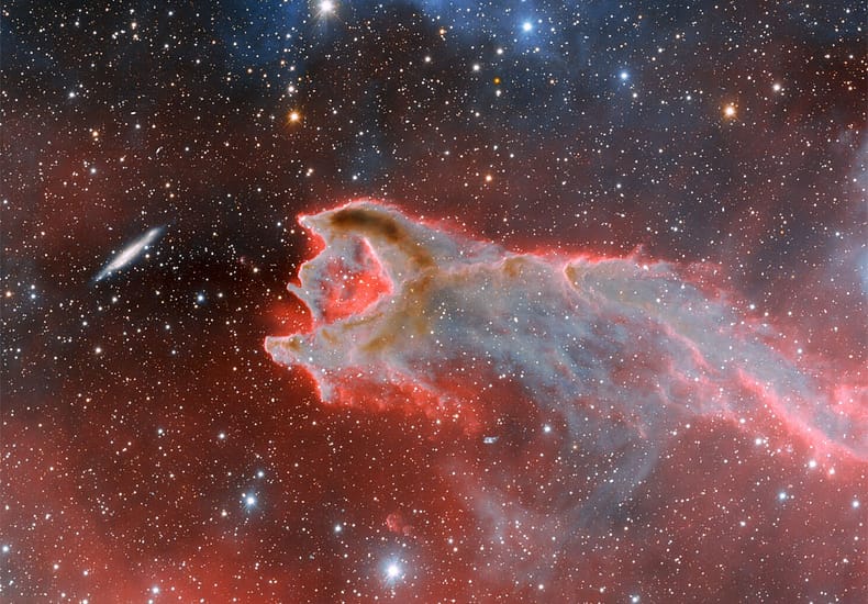 CG4: The Globule and the Galaxy CG4: The Globule and the Galaxy