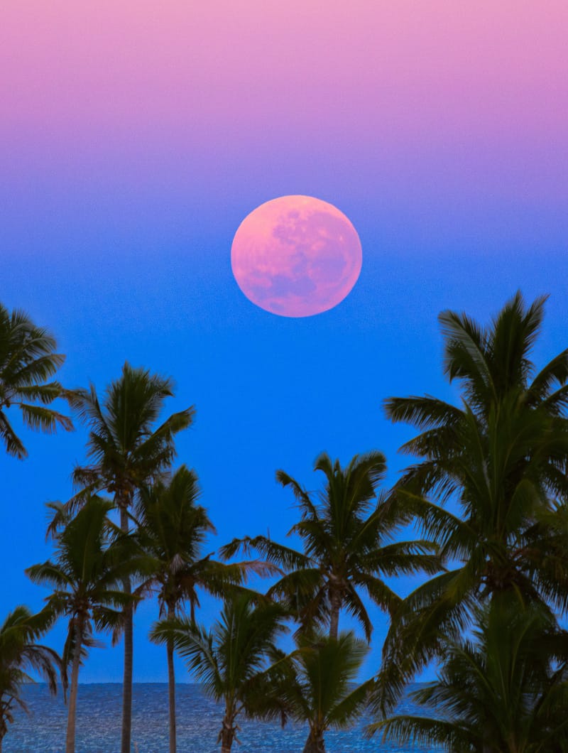 South Pacific Shadowset South Pacific Shadowset