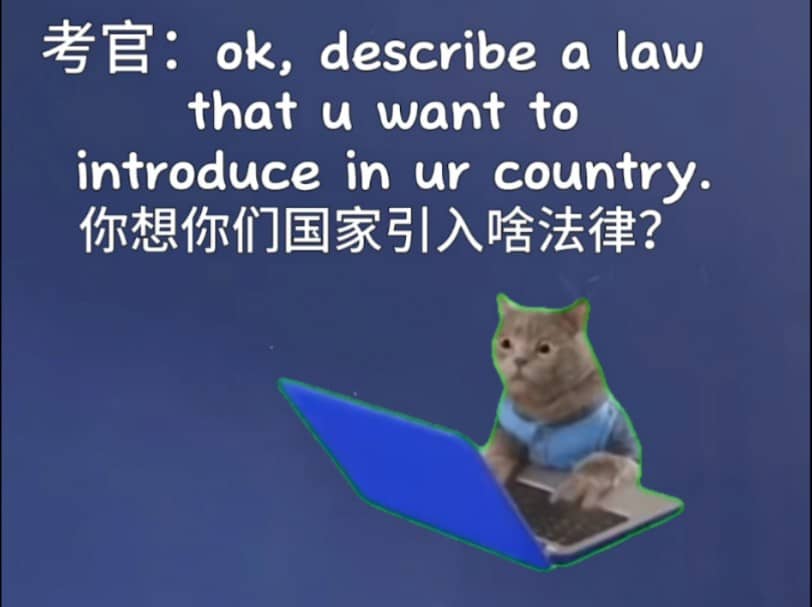雅思口语遇上猫meme，直接让考官红温